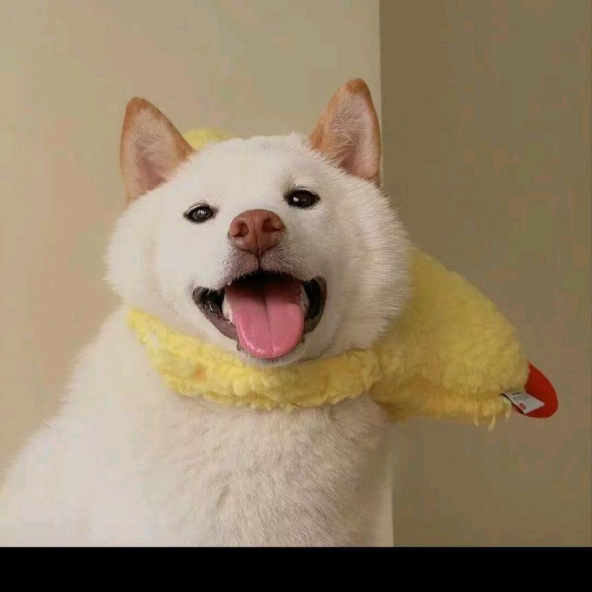 对方正在输入，