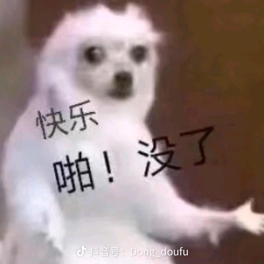 羽立小兔