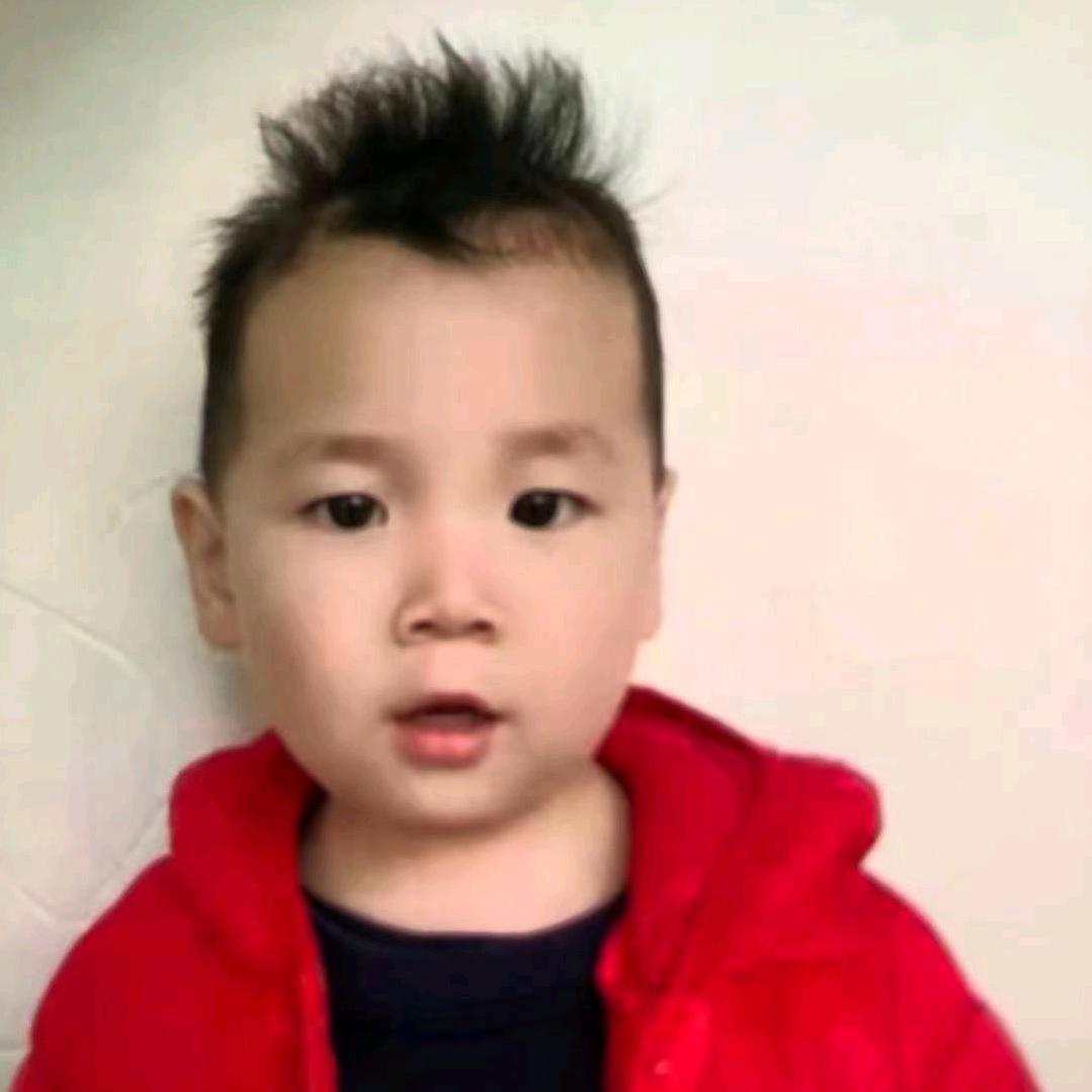 小灰灰