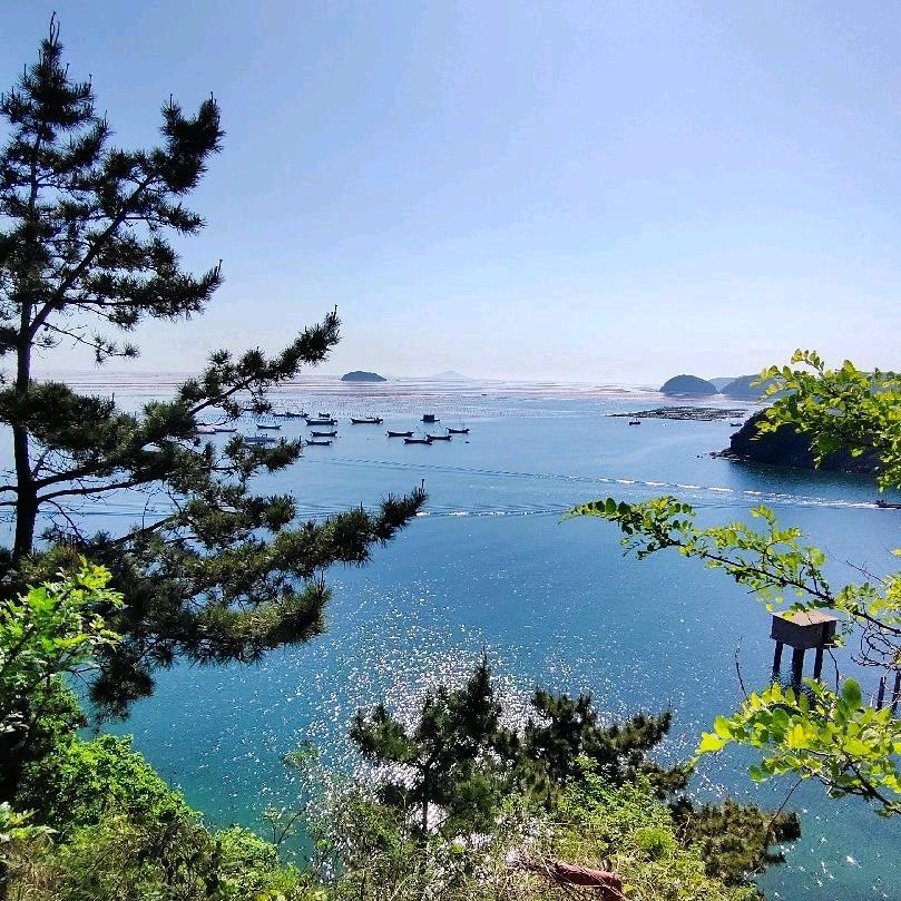 锋景如画