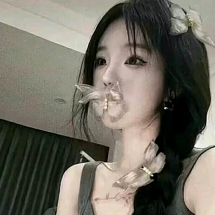莫雨