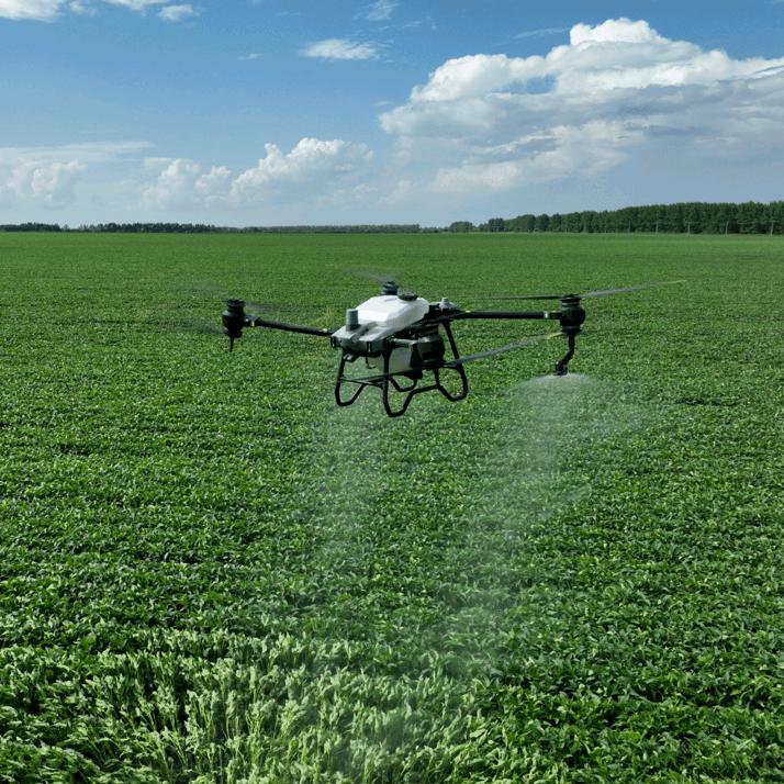 艾尼外尔江  ئەنۋەرجان