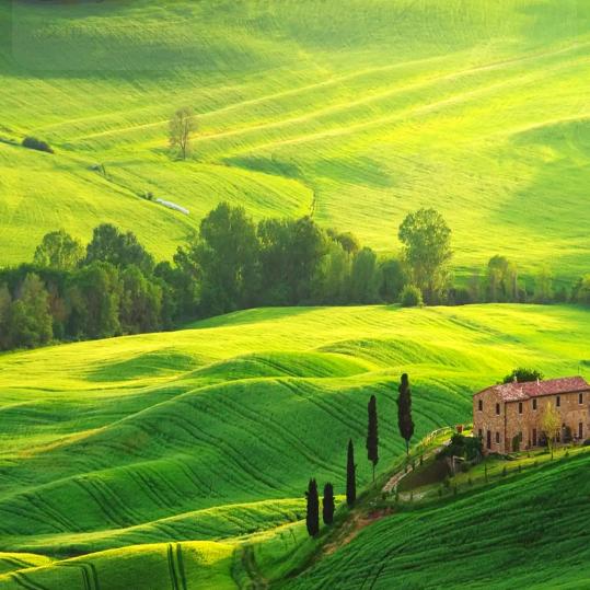 下一站风生水起