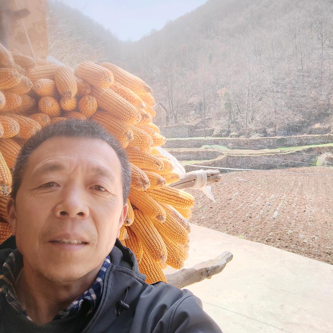 茶叶老李土特产