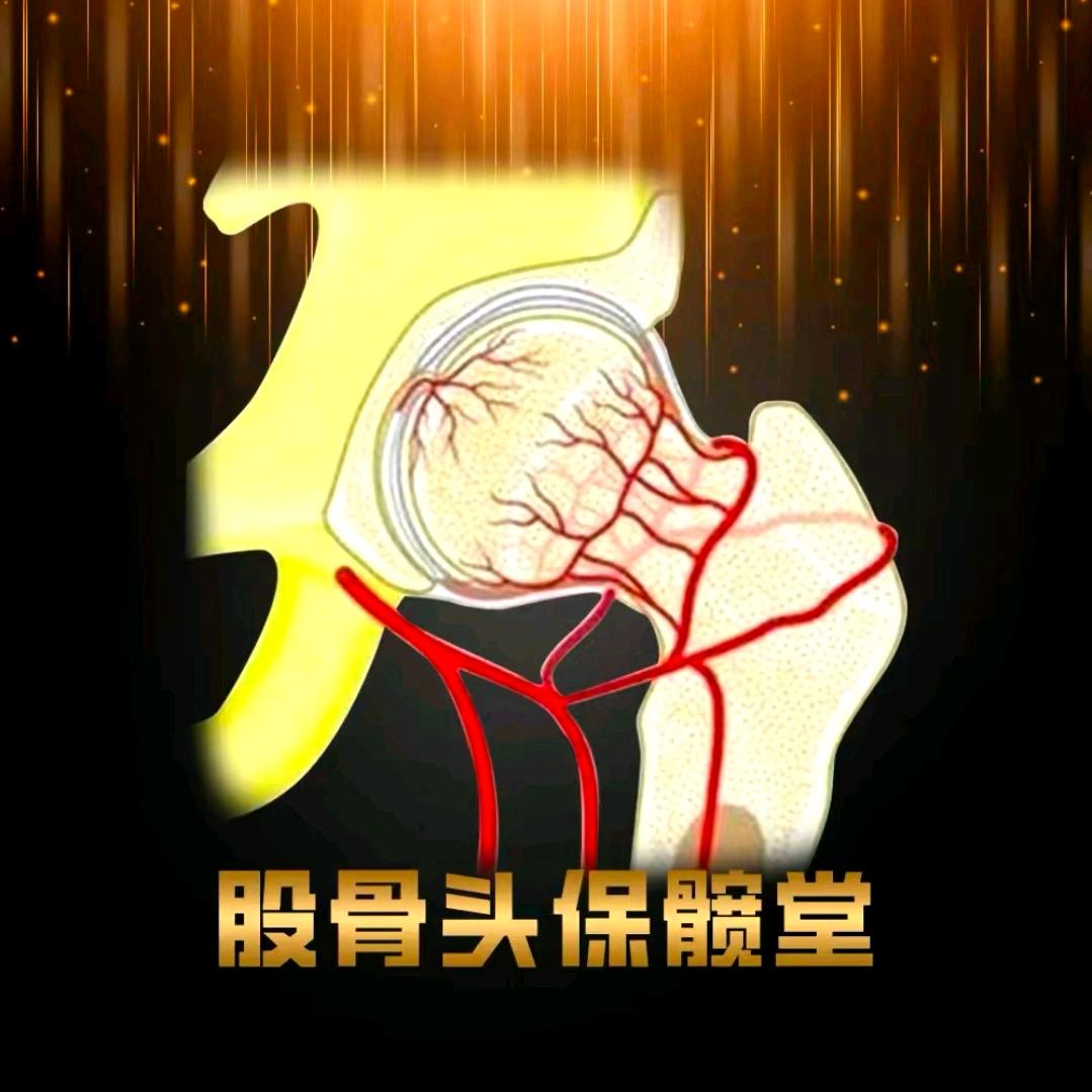 保髋护髋养髋