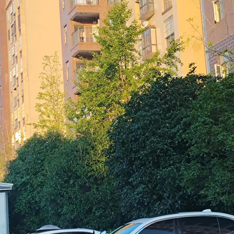 一加一等于二