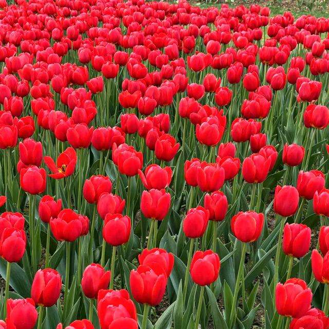 🍭为你改变🍭