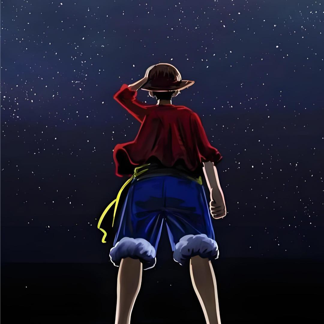 仰望$星空