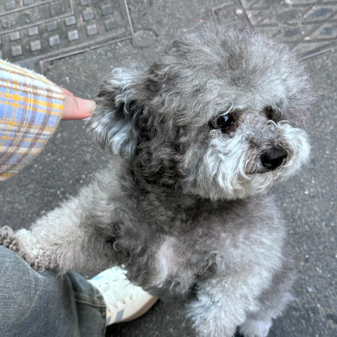 早八拒拒子߹𖥦߹