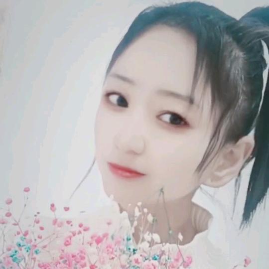 星星⭐🐼