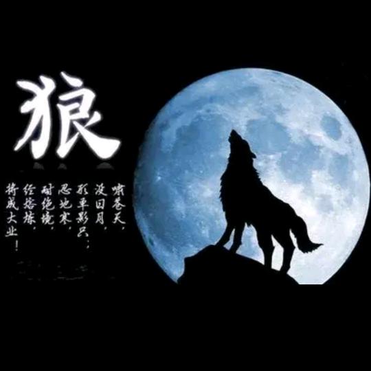 选择～