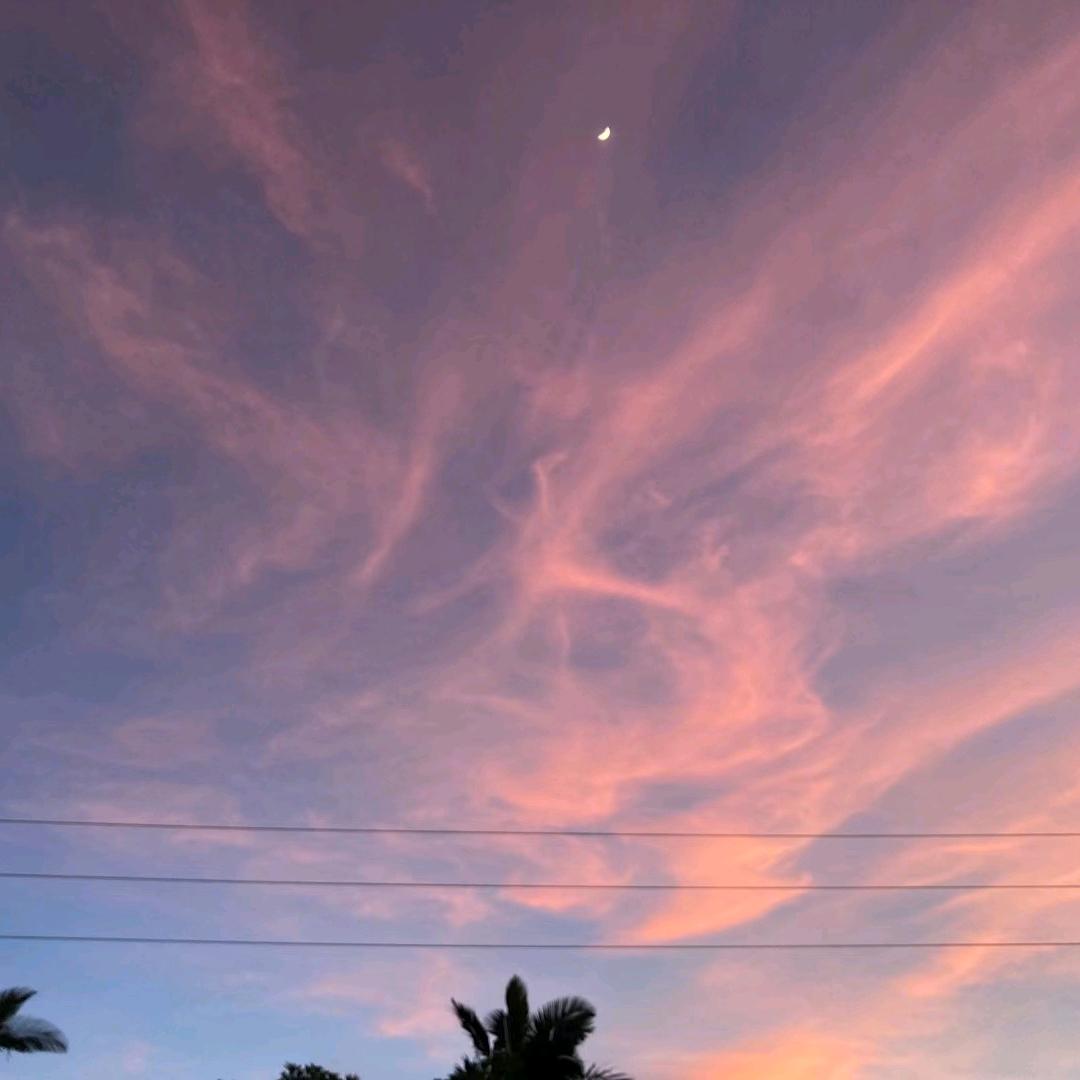 下雨会往家里跑
