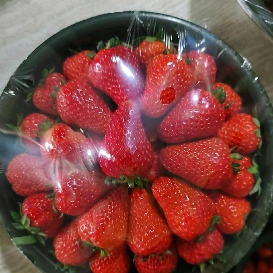 草莓产地批发