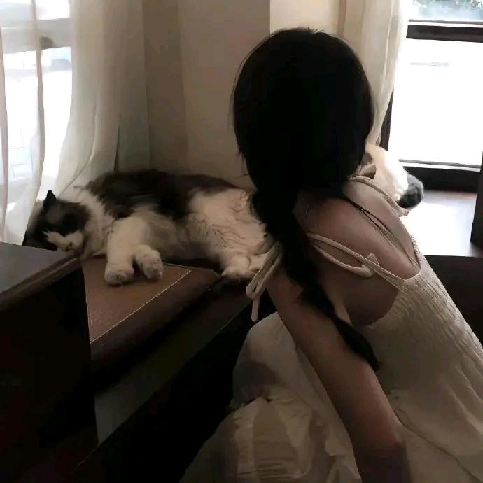 泡泡糖💤
