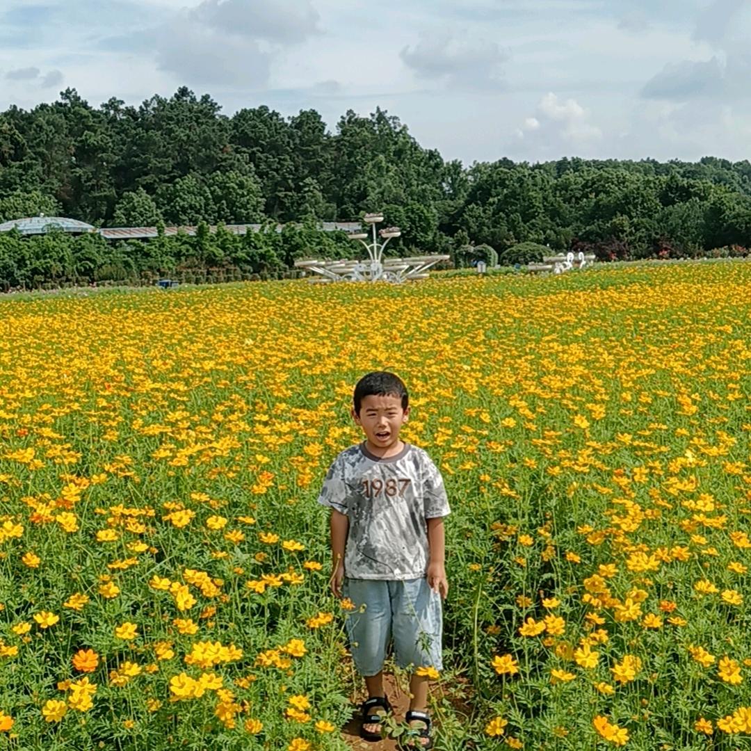 兰州牛肉面官方账号