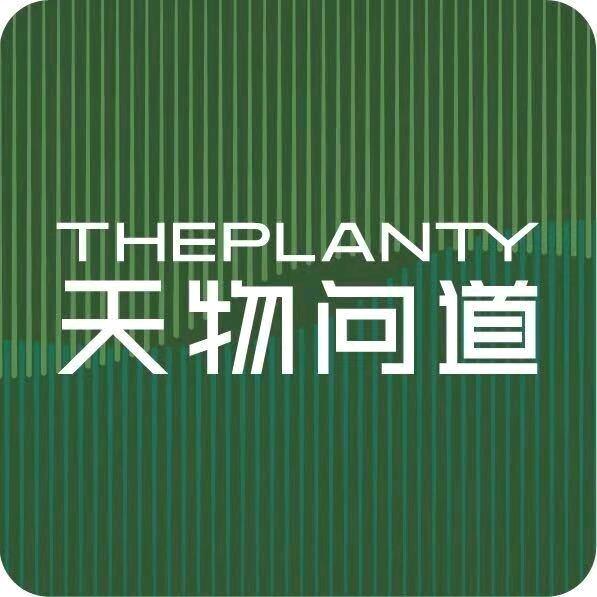 梦想苔藓