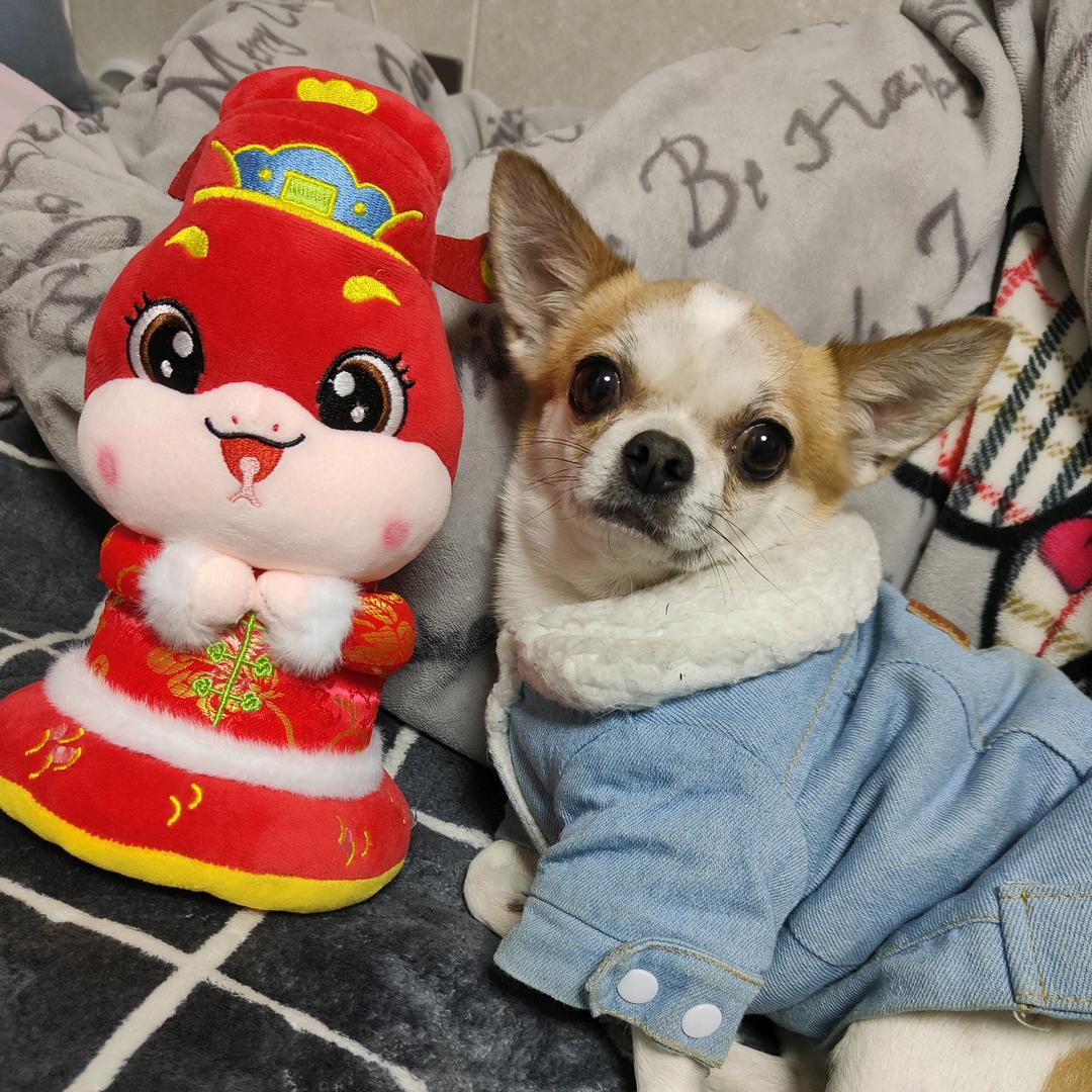 迹未离
