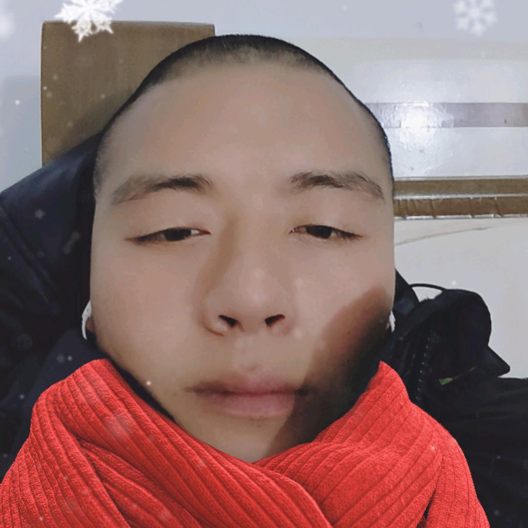 雪山飞虎