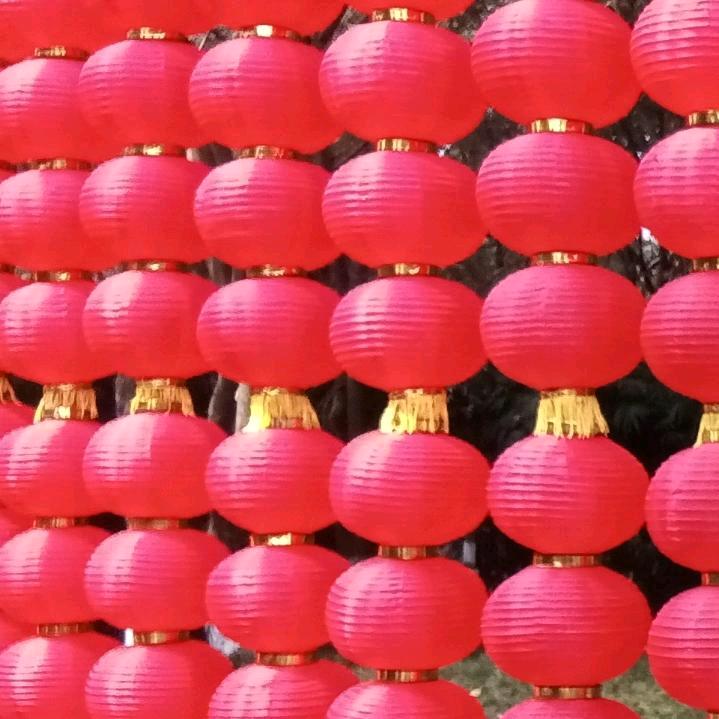 大雁子