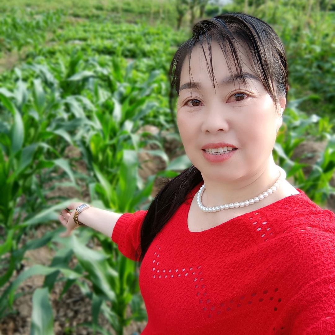幸福杨姐
