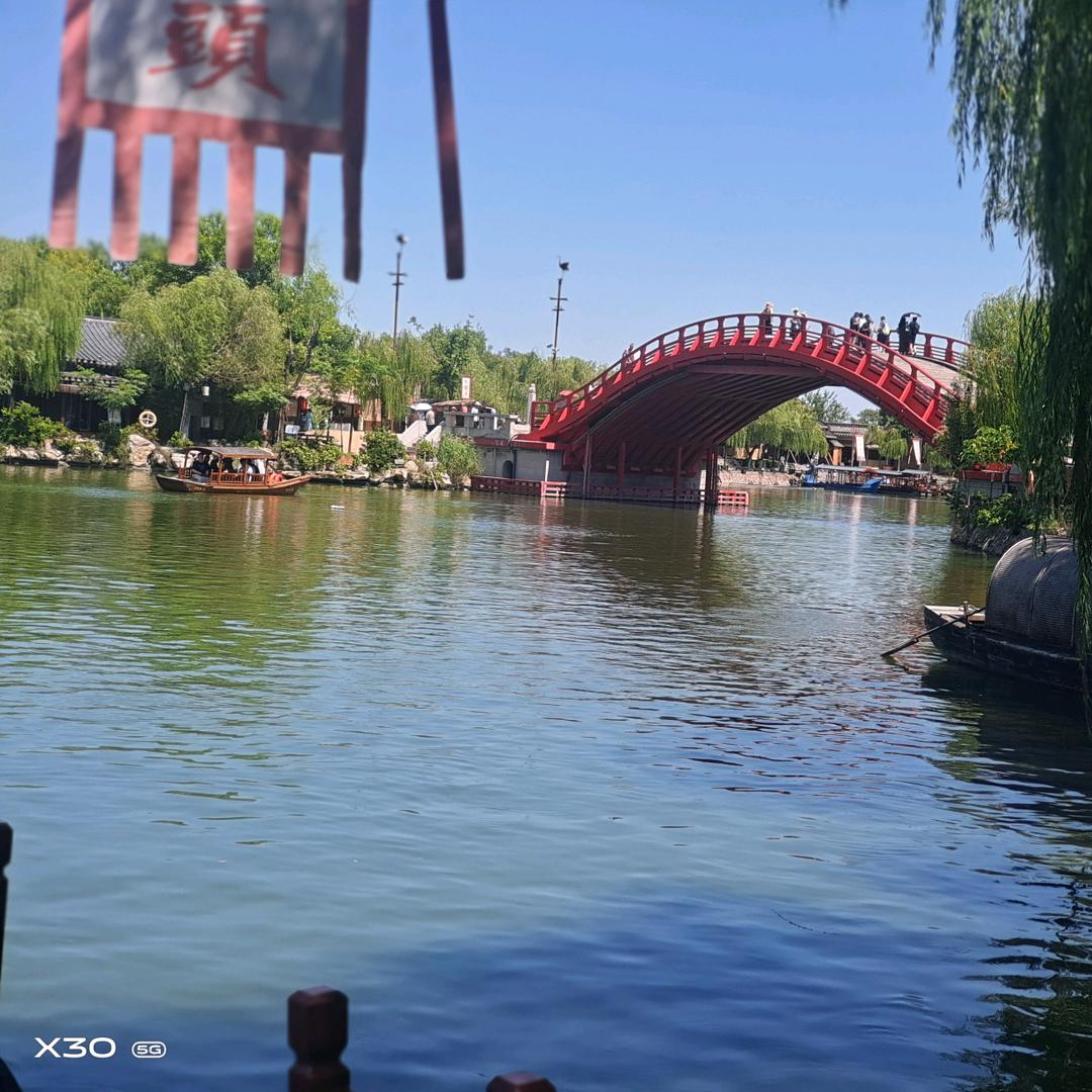 向阳花🌸
