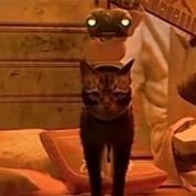 十六宝贝（蛋仔玩家）