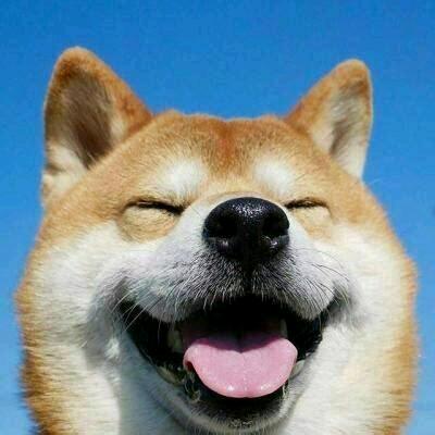 不想上班~（摸鱼中）