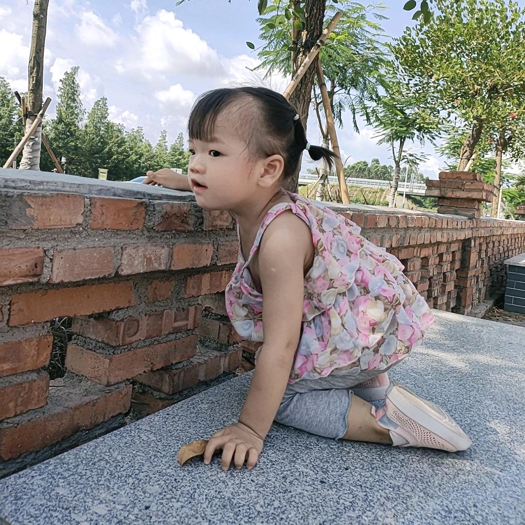 小晓菲(幼小衔接)