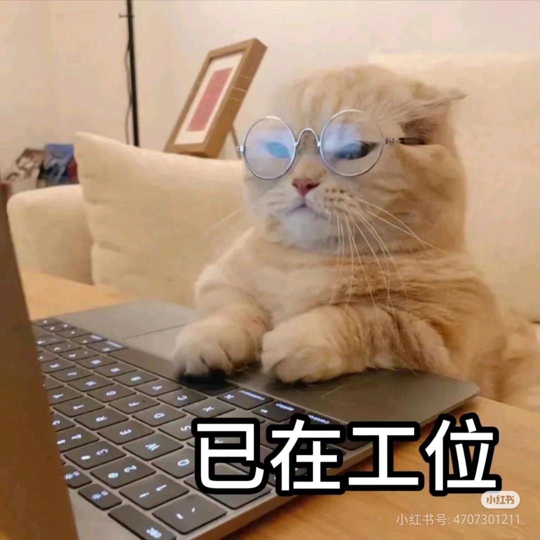 苏州迪瑞夫乙烯基防腐材料厂家