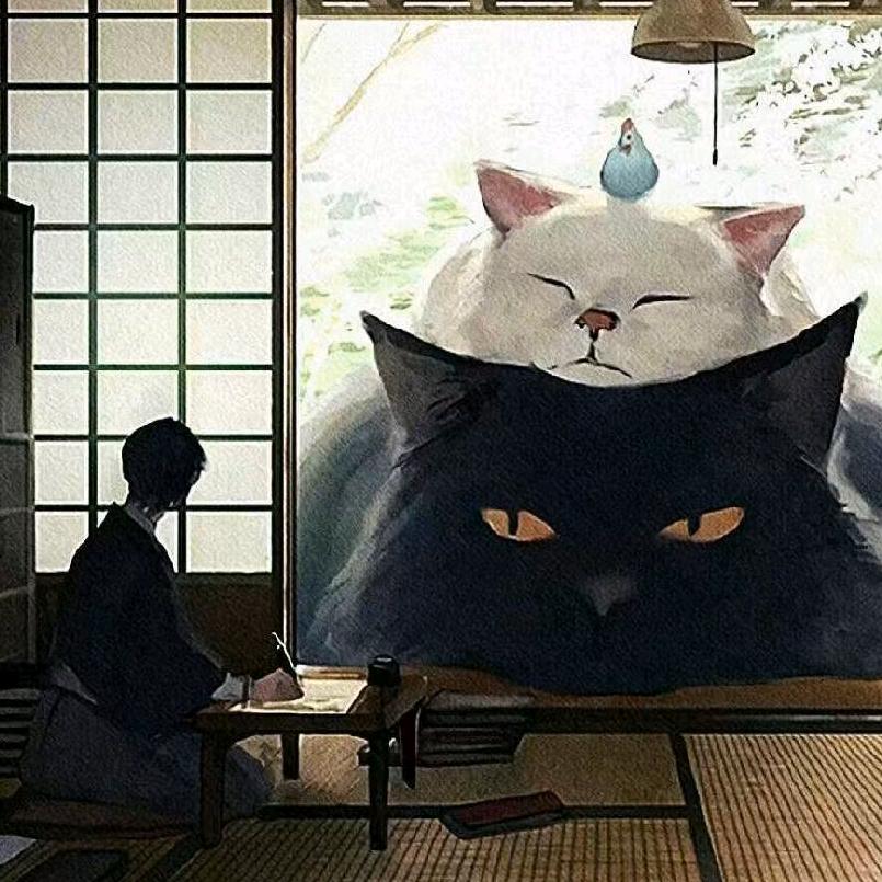 无回复