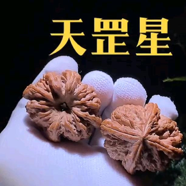 @天罡星创始人