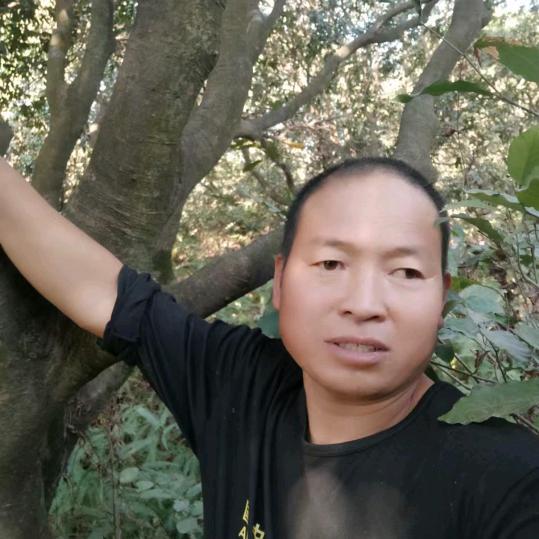 东明大蒜哥柏国建