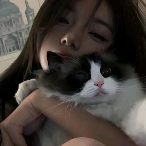 -玫瑰小屿^. ᐝ