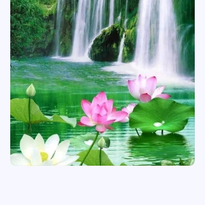 向上有爱的帅崽