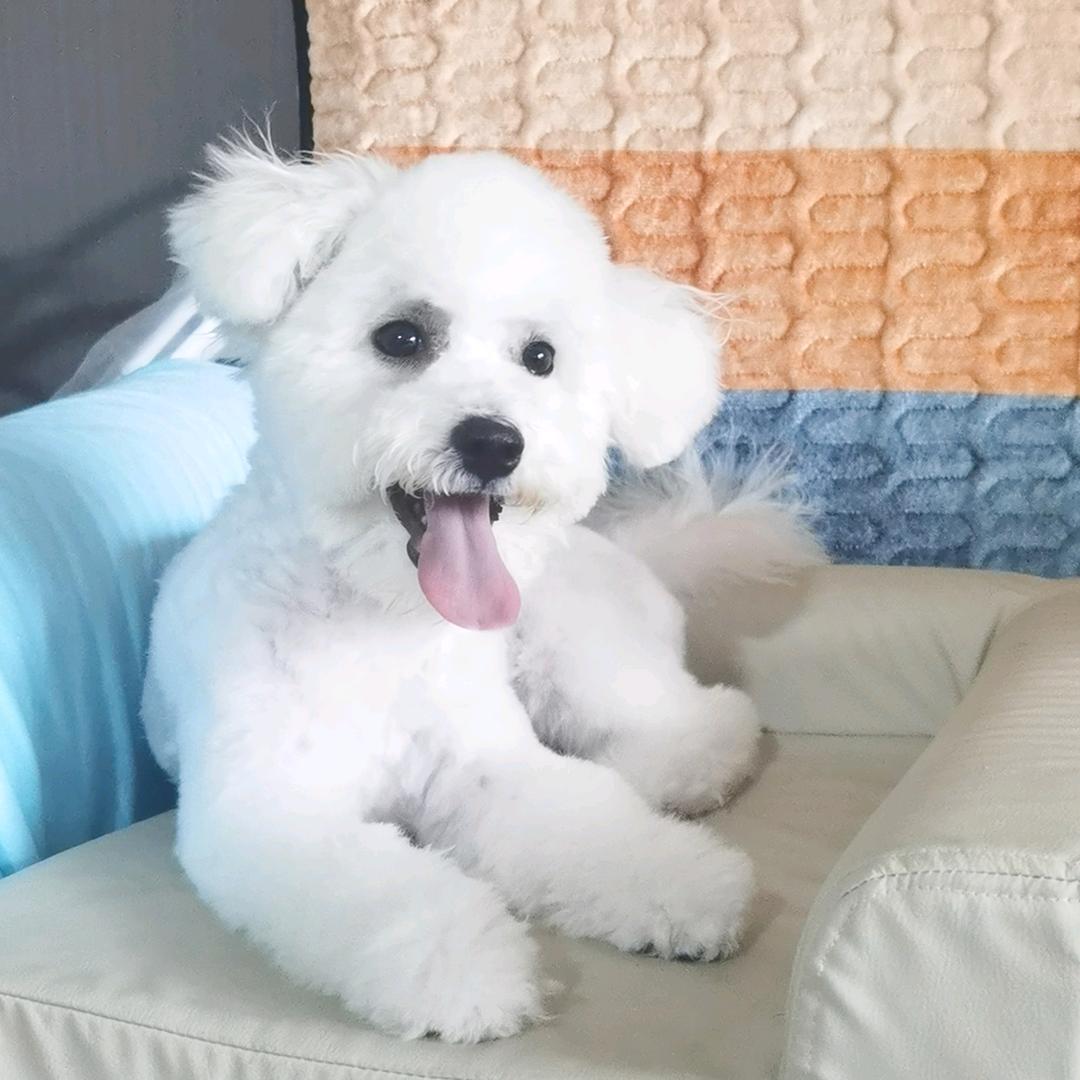白雪公主