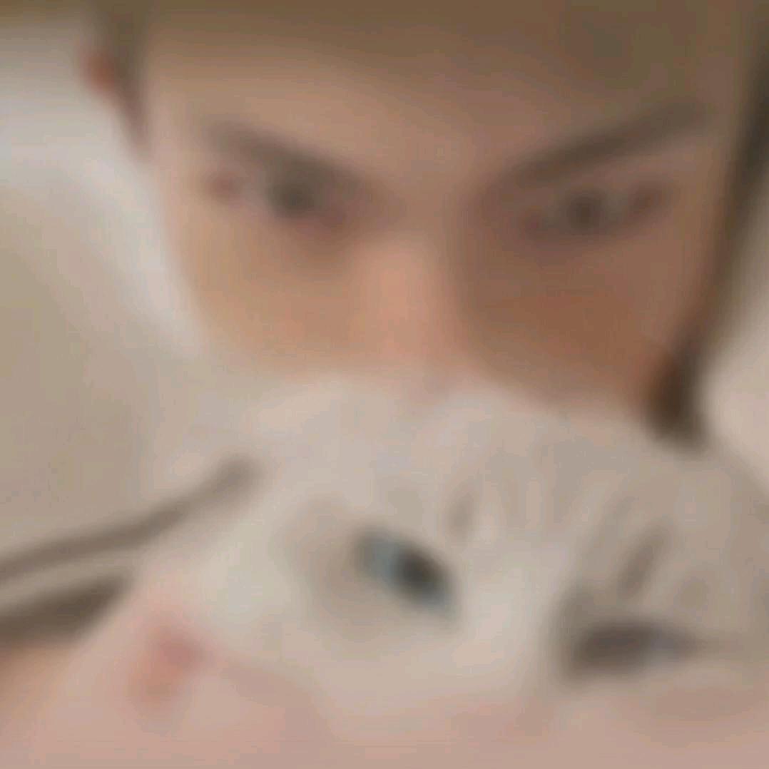 针尖麦芒