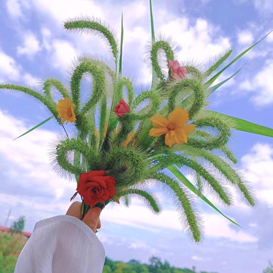 琪宝