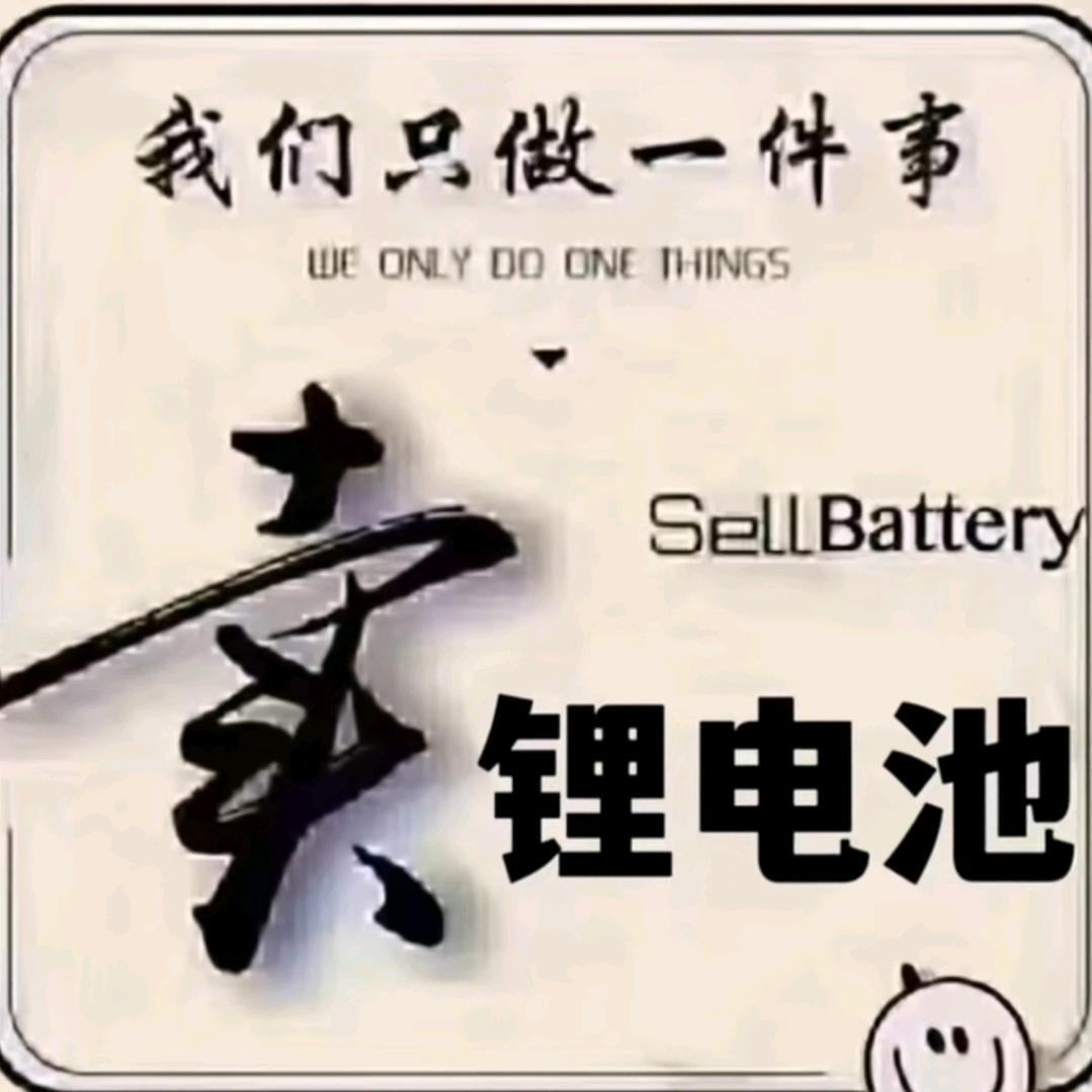 磷酸铁锂帅加乐锂电厂家直销