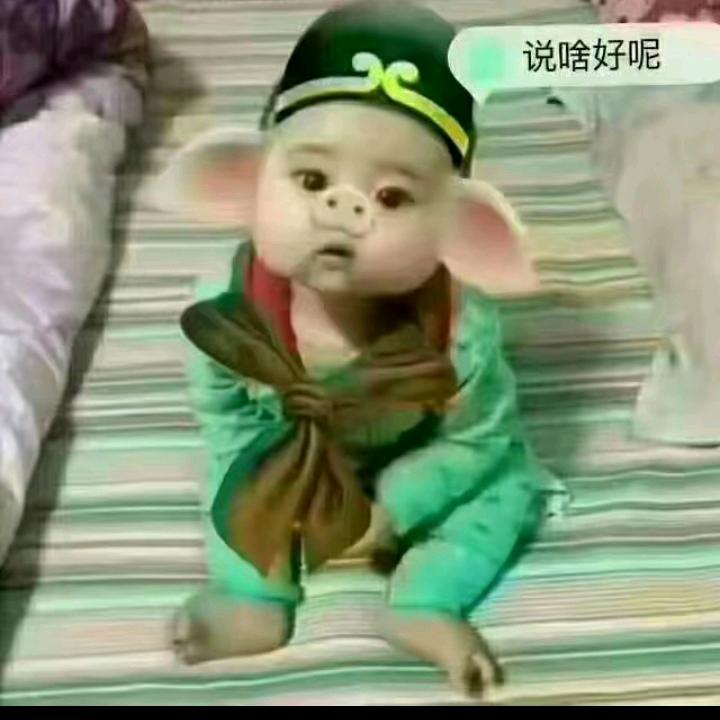 江南老脚