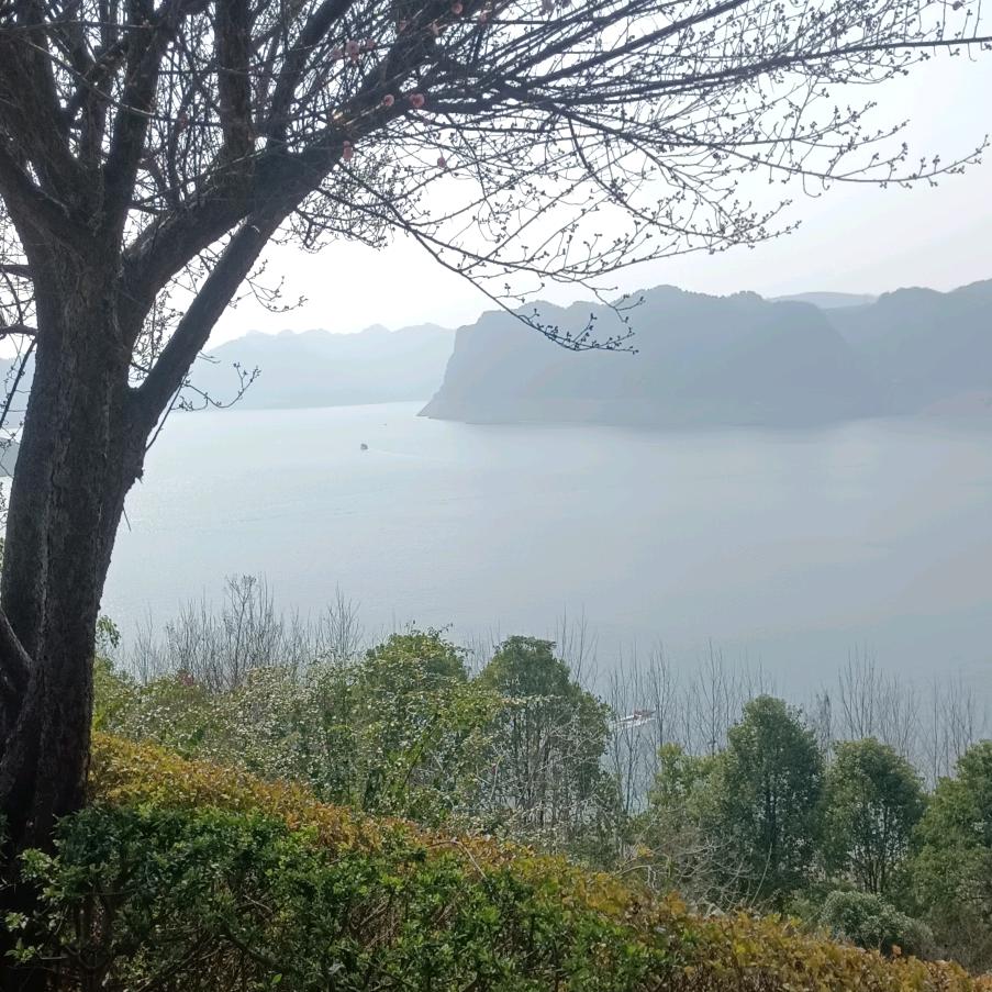 竹海听风