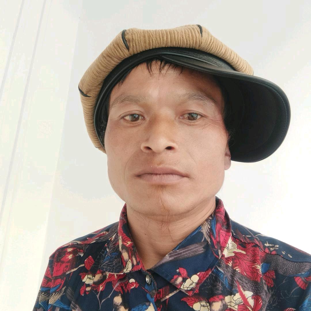 树科辉哥
