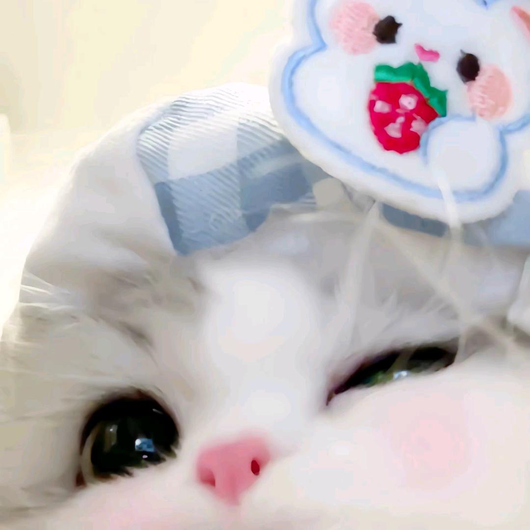 小小萱