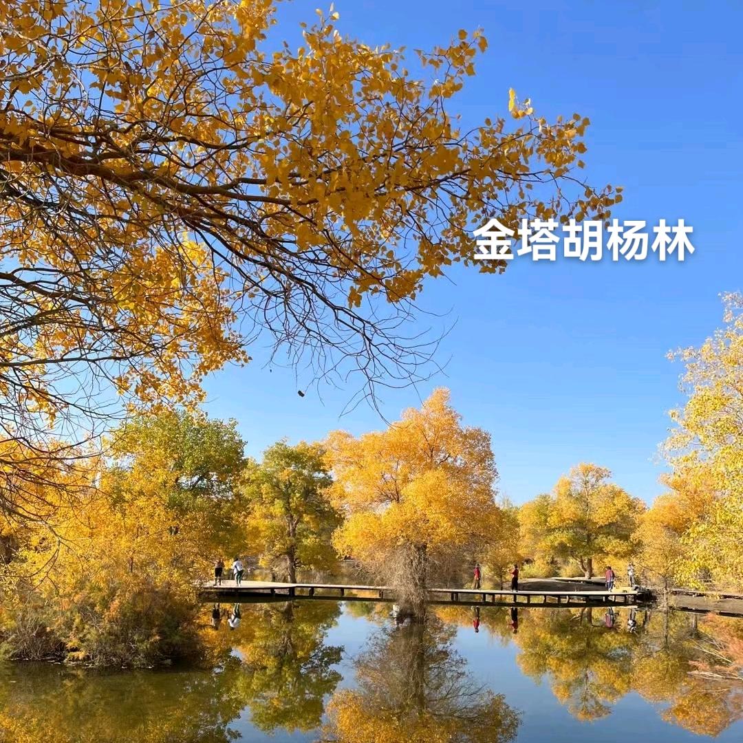 开心果119