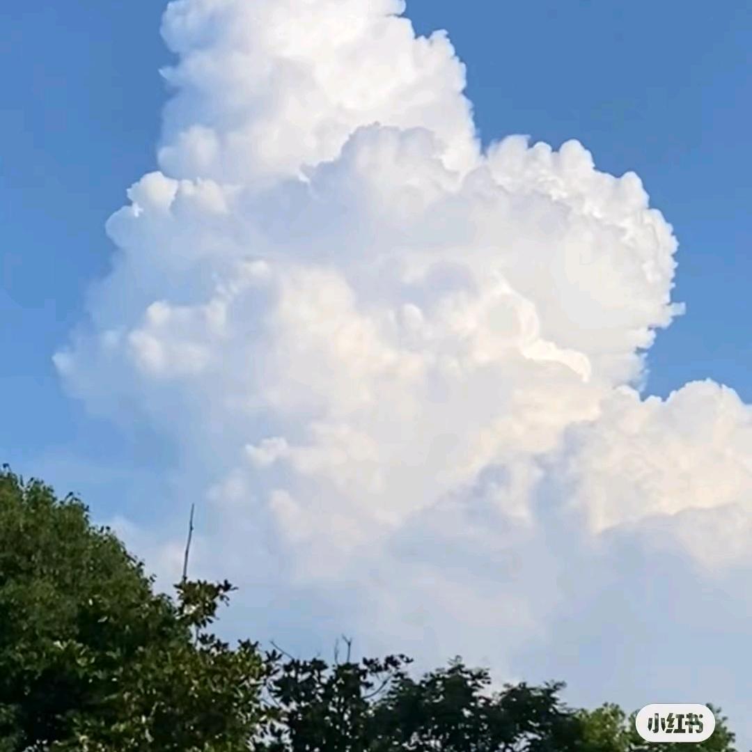 夏添