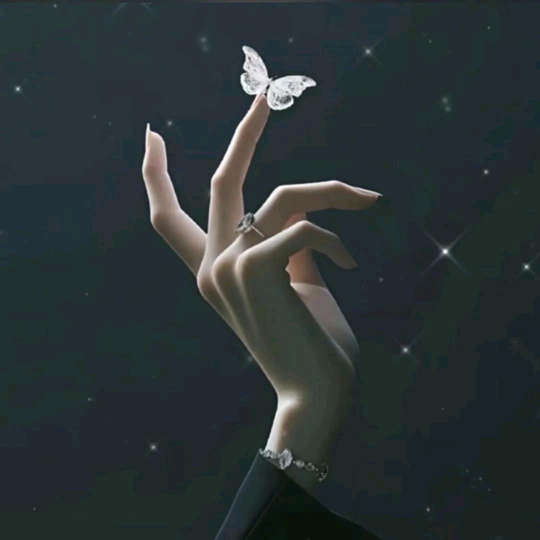 云典穿戴甲批发