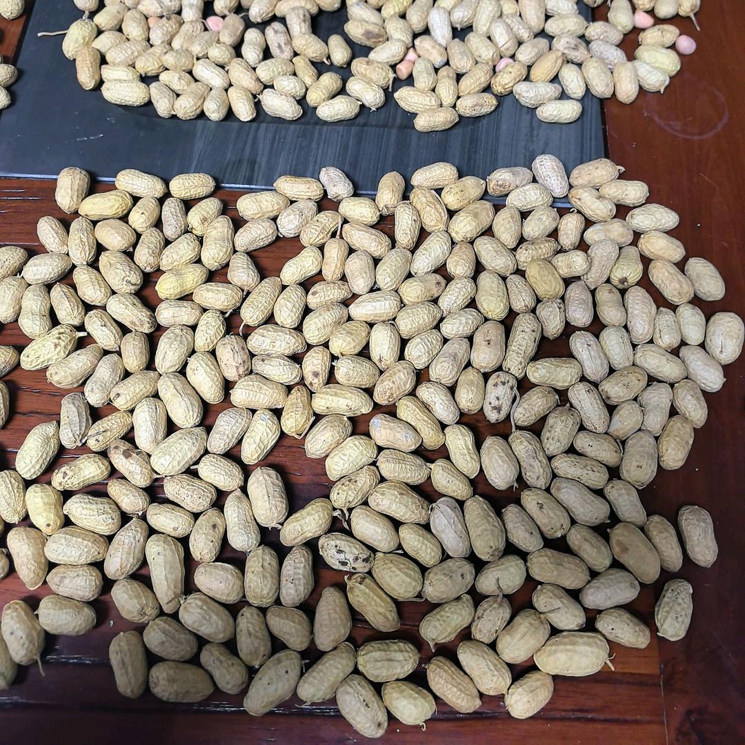 河南襄城县百旺农业-丹姐花生精选厂