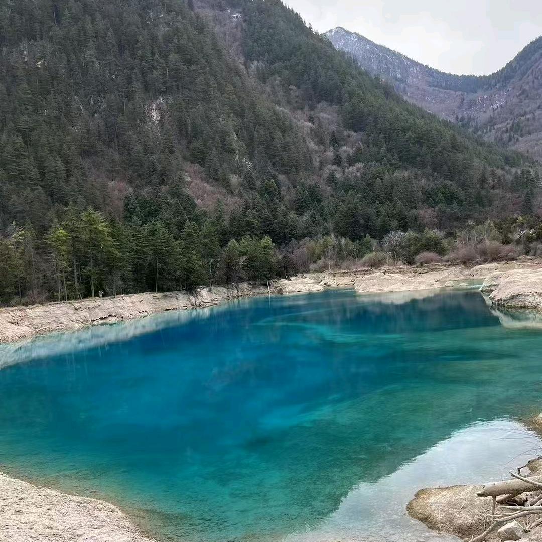 鹿鸣