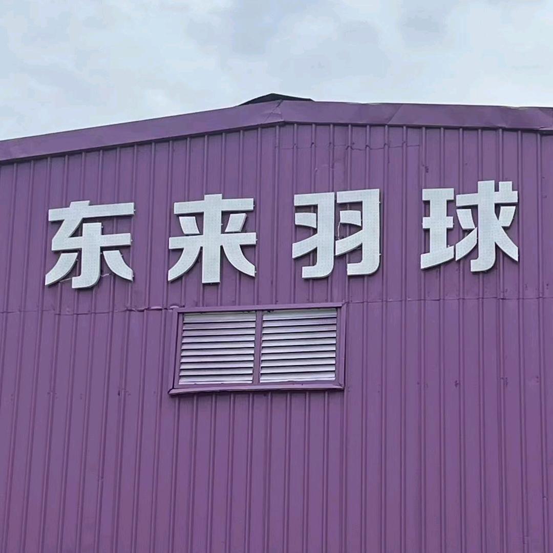 DL体育
