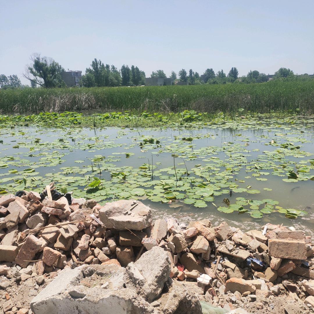 ^O^爱意已绝^O^再难续。