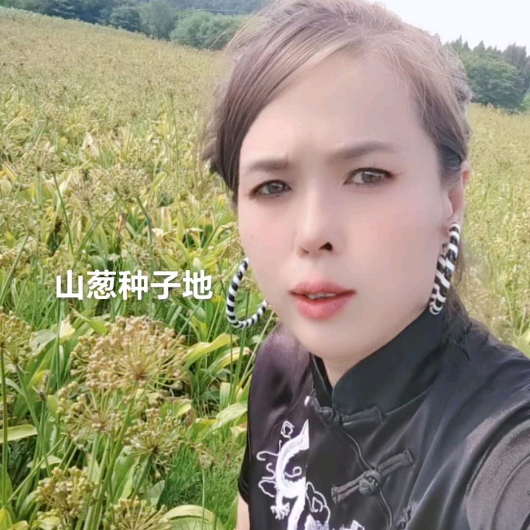 山葱种植和开红艳山特产品
